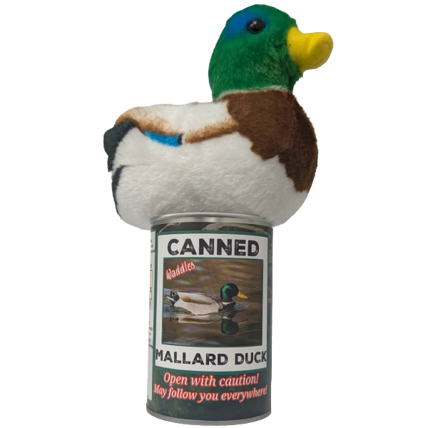 Waddles Mallard Duck w/ Sound