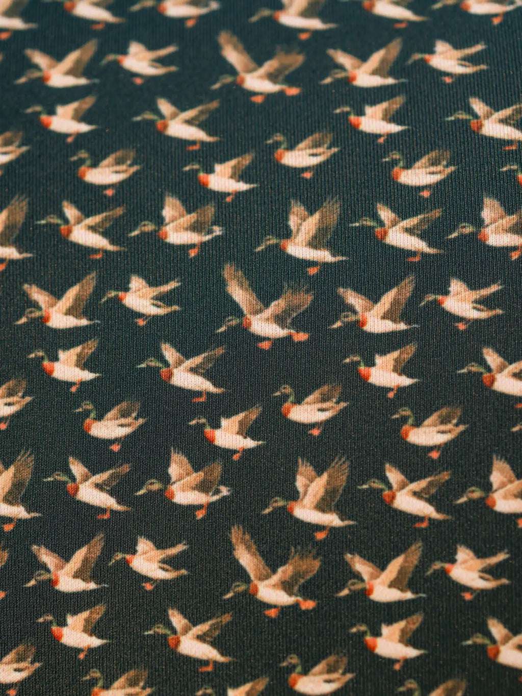 The Quack Polo