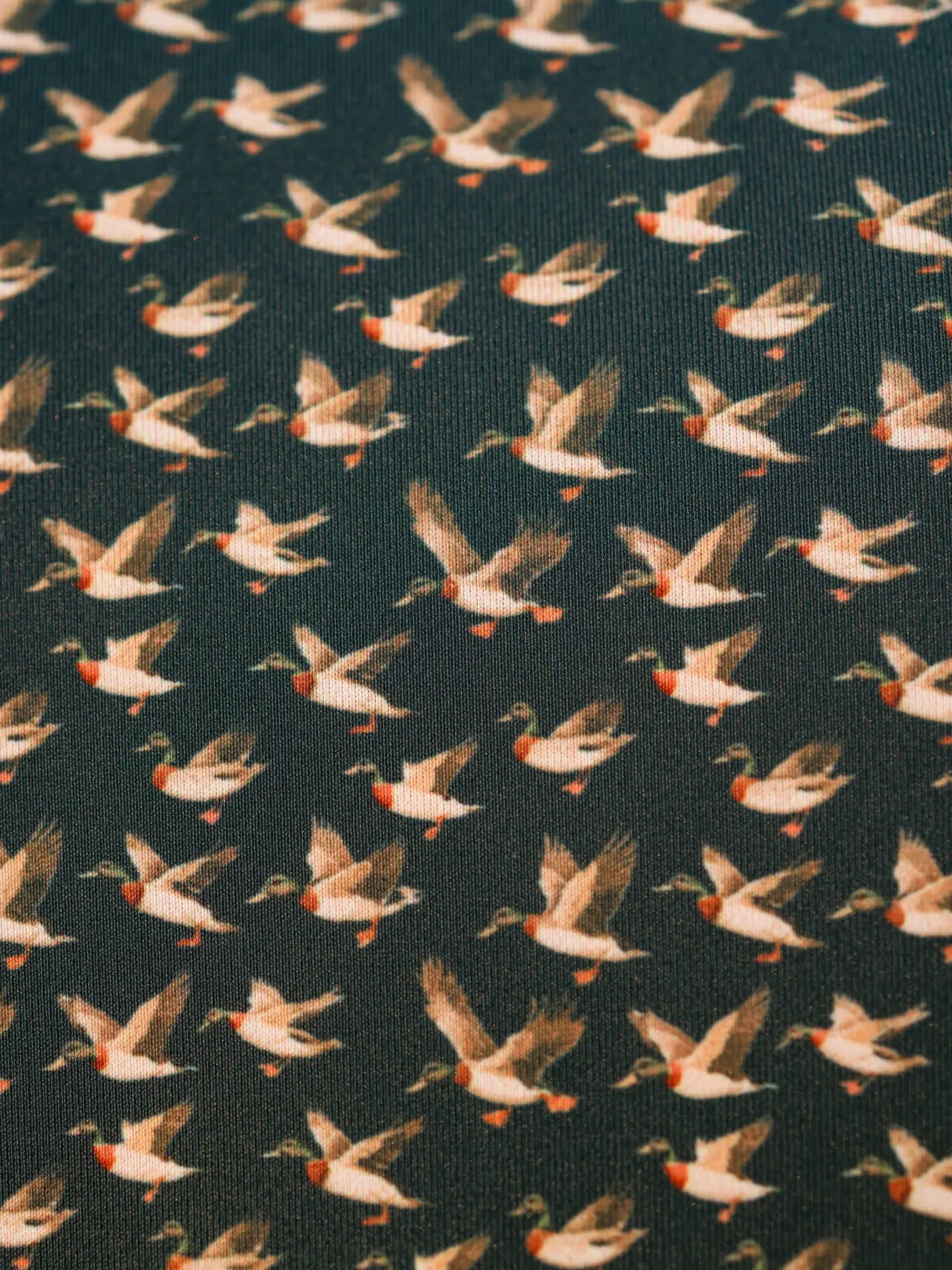 The Quack Polo