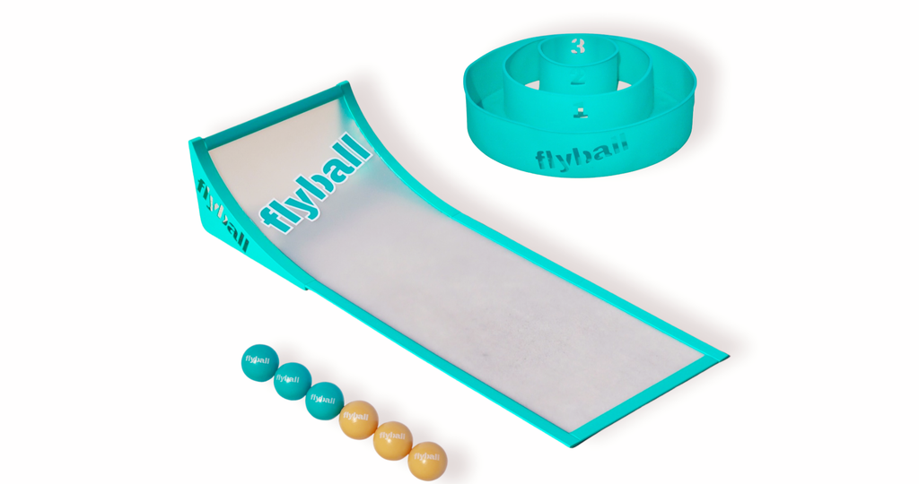 Flyball Classic Set