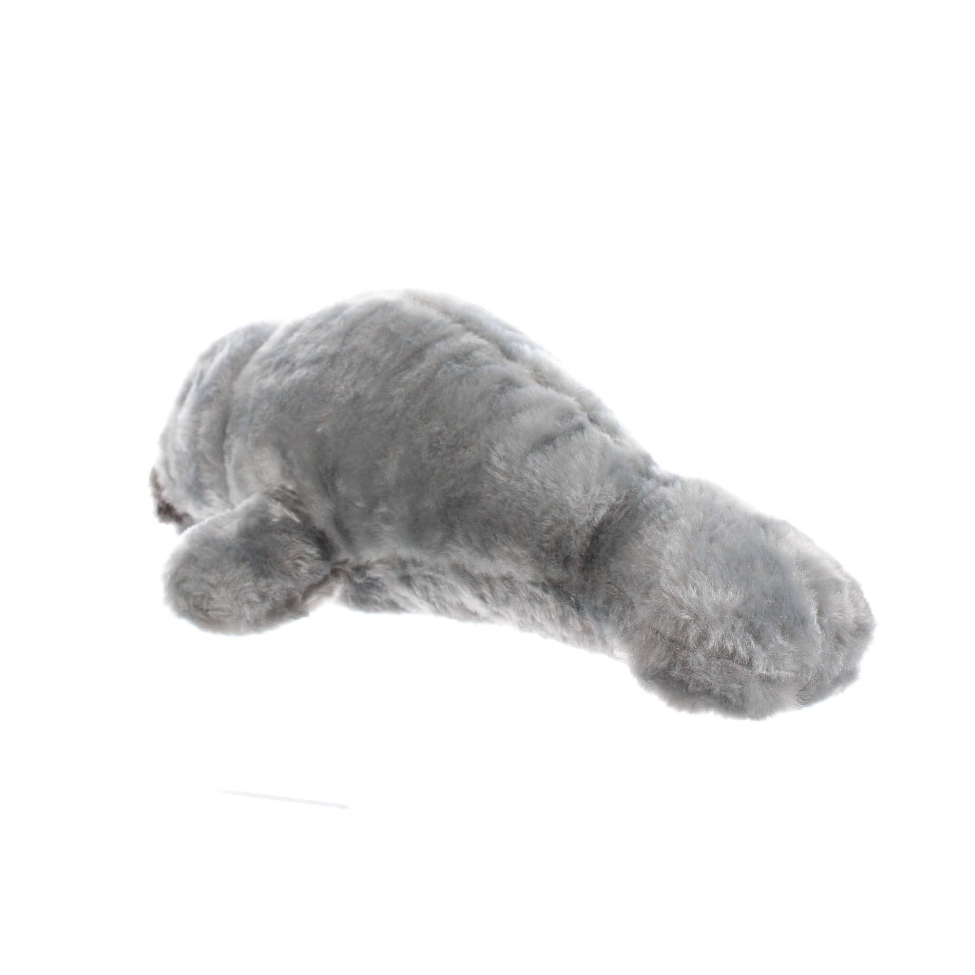 14" Conservation Manatee