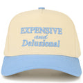 EXPENSIVE AND DELUSIONAL