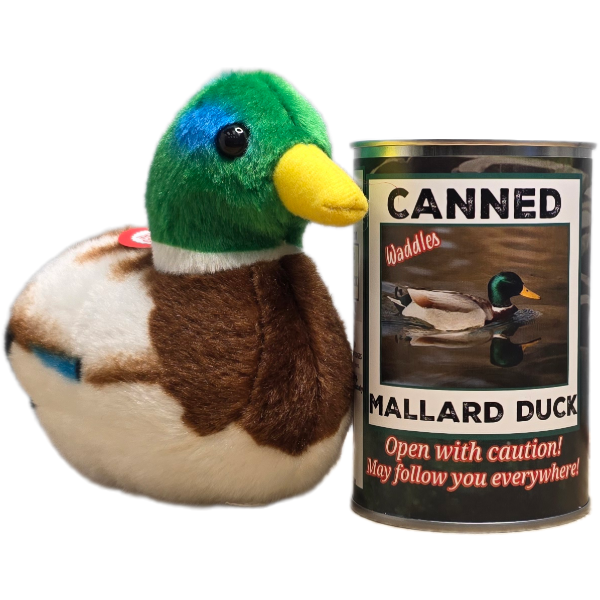 Waddles Mallard Duck w/ Sound