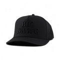 Big Dawg