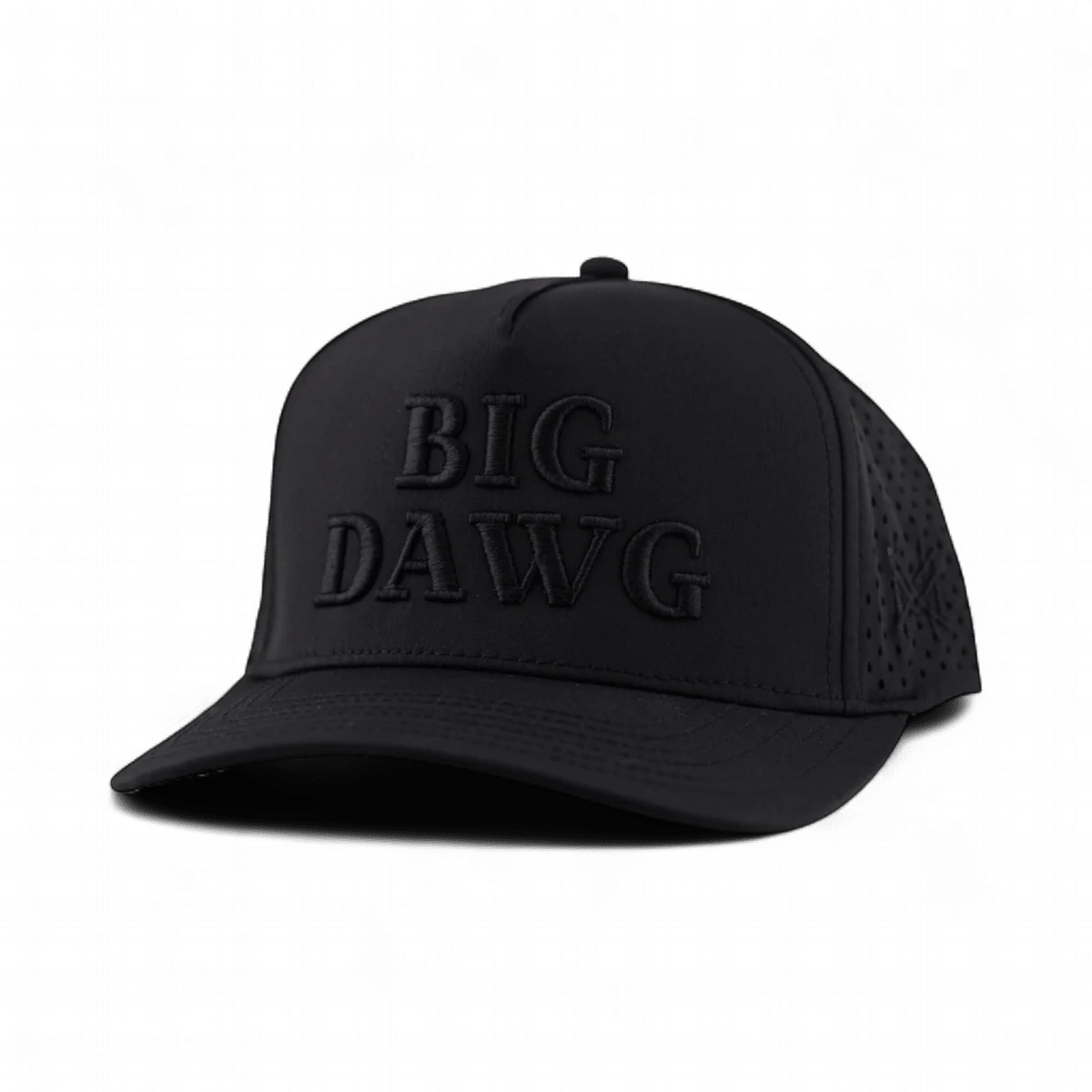 Big Dawg