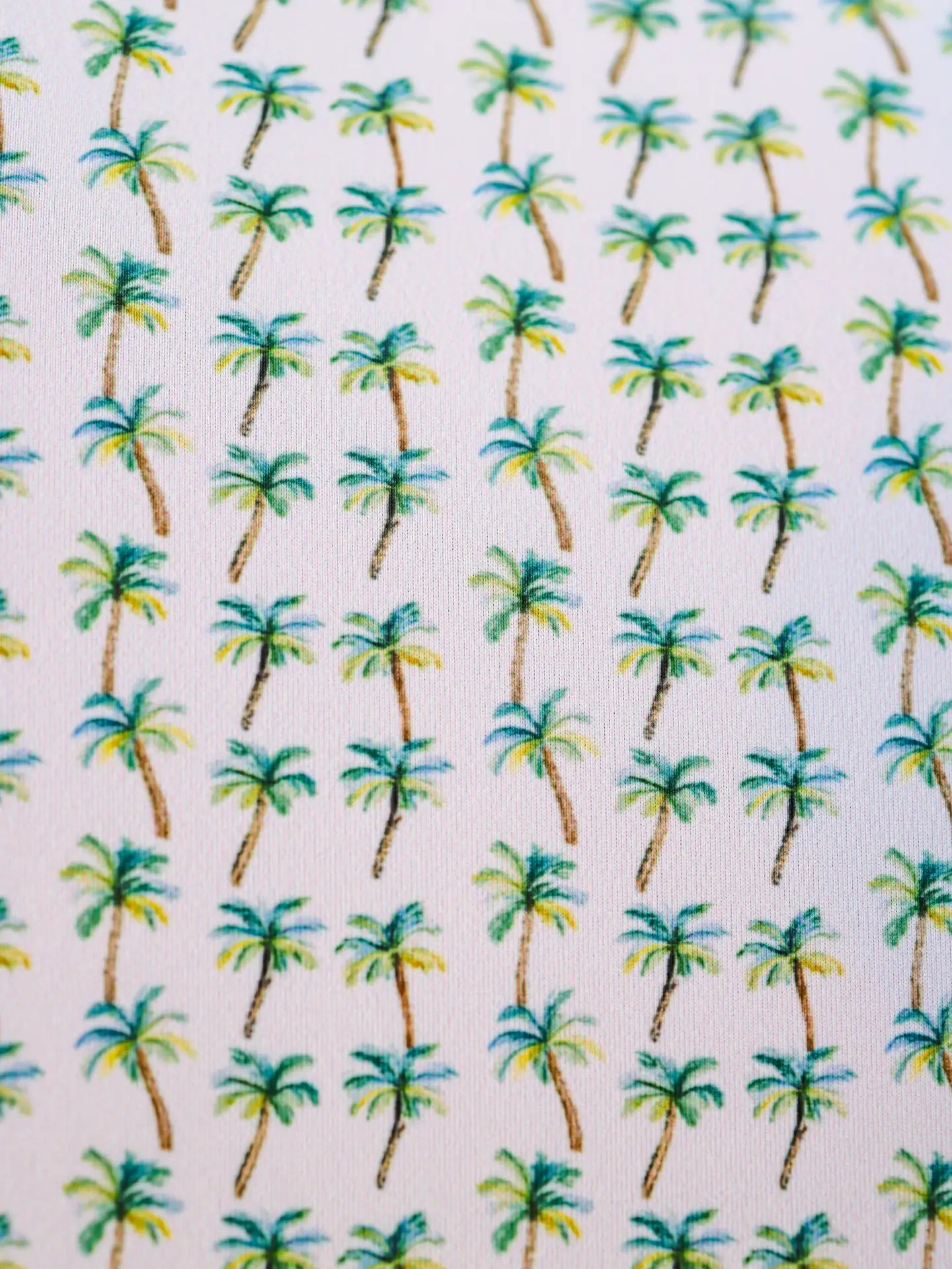 The Palm Polo