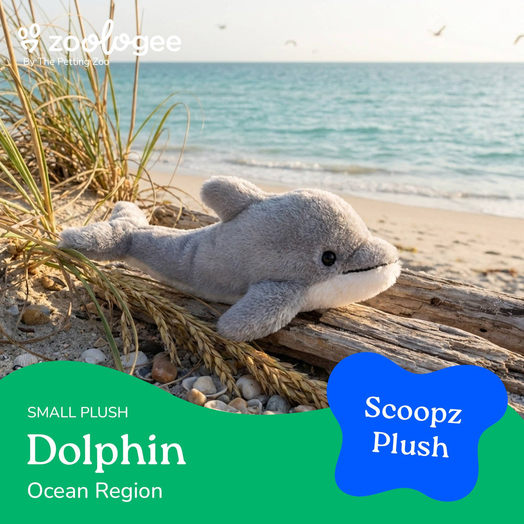 8" Scoopz Dolphin Sea Life