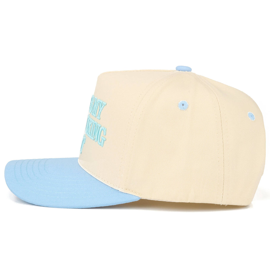 THIS IS MY DOG WALKING HAT Hat